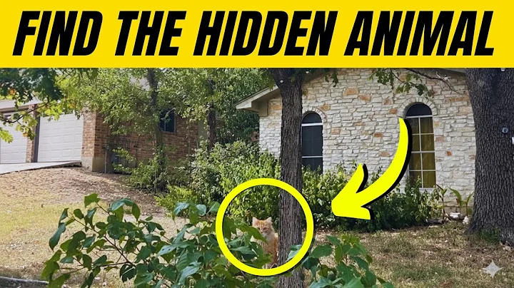 Find the Hidden Animals # 19