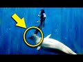 This Man Was Drowning and Crying for Help. A Beluga Whale Heard Him and Did Something Unbelievable