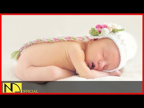 1 HOUR of Music Box for Babies to go to Sleep / Orgel Sound with Classical Music Baby Lullaby