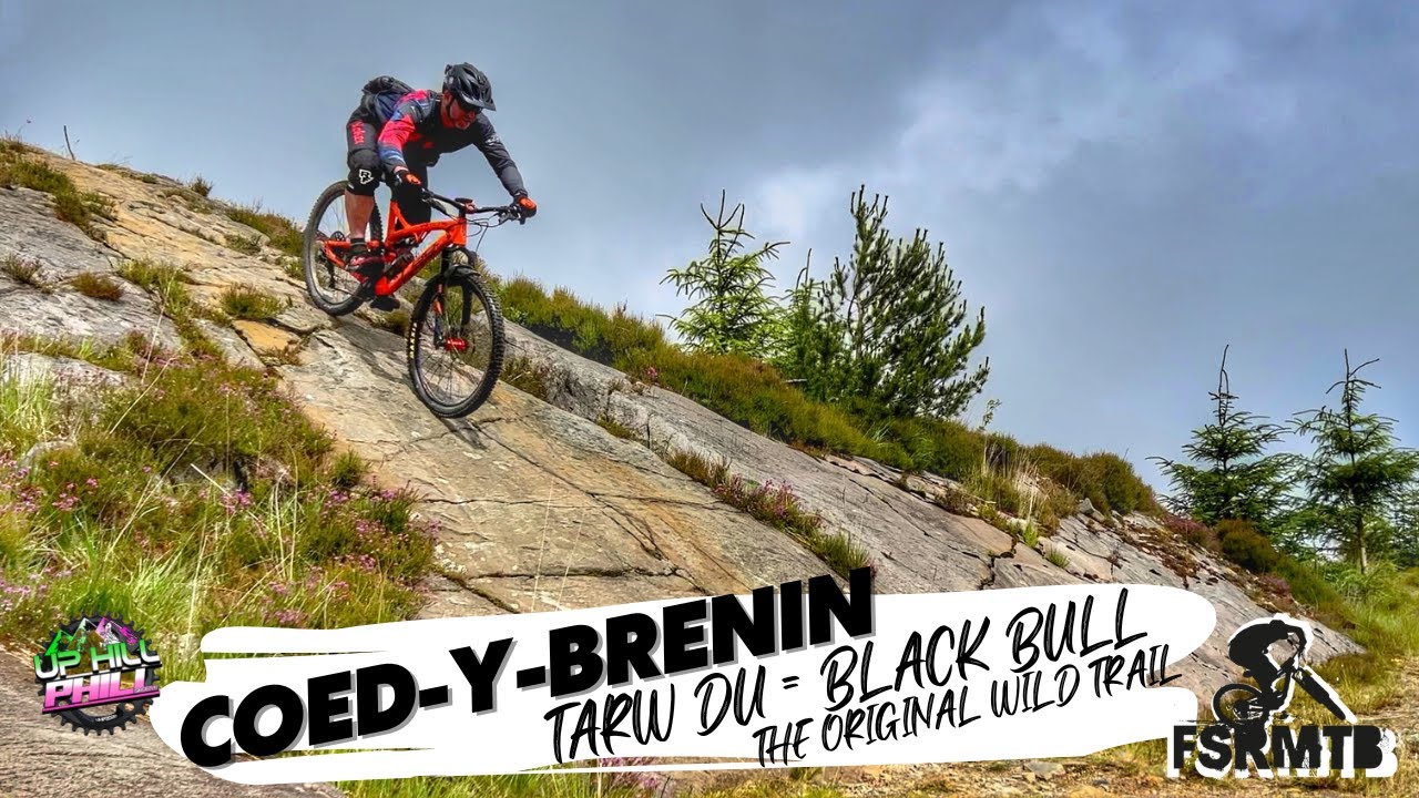 Coed y Brenin - the ORIGINAL BLACK TRAIL (Tarw Du)