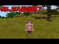 【マイクラ】死んだら即終了ハードコアエンドラ討伐🐇#02
