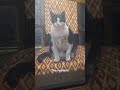 Most of this Artist's Income is From Pet Portraits
