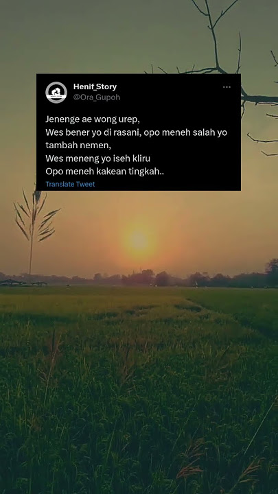 rasane kademen ning nggon panasan - viral tiktok