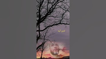 علمتني سورة الكهف ٢