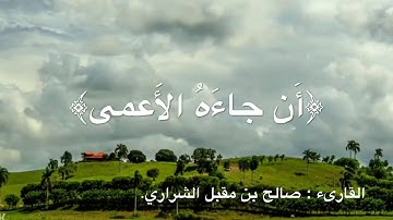 سورة عبس | الشيخ صالح مقبل الشراري.