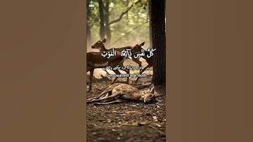 Surah Al-'Ankabut | سورة العنكبوت | No 29 Ayat No 56-57 💖 Sheikh Abdul Rehman Mossad