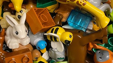 Lego Duplo Animals - Relaxing ASMR