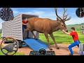 Animal Cargo Truck Driving Game 3D - Animal Transport Cargo Truck 2026- Android Gameplay