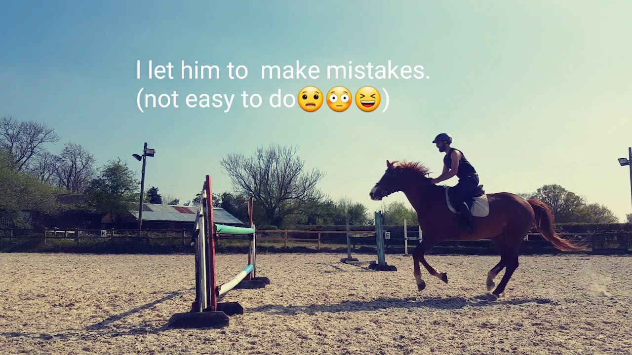 Teach and train young Horse to Jump.pick up his feet over fences YouTube