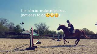 Teach and train young Horse to Jump.pick up his feet over fences
