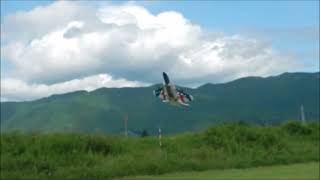 SG F22 RTF 4 Ch Vertical Stunt Plane