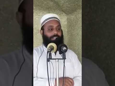 کیڑے مکوڑے چیونٹیوں کو جلانا کیسا ہے