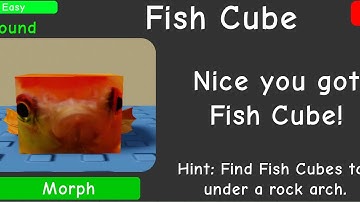 How To Get The “Fish Cube” | Find The Floppa Morphs #roblox #floppa