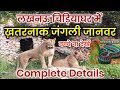 लखनऊ चिड़ियाघर ll Lucknow Zoo | Snake House Lucknow Zoo !! Lucknow chidiyaghar !!