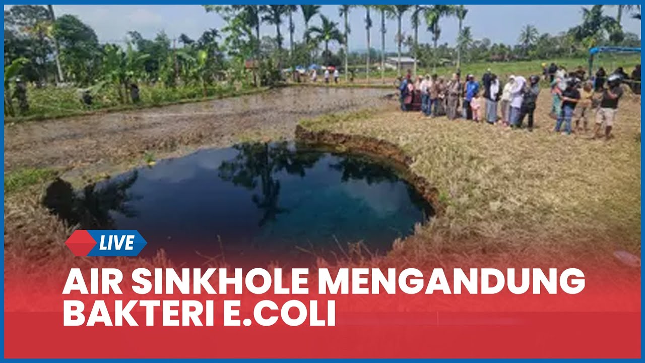 🔴 Air Sinkhole Lima Puluh Kota Mengandung Bakteri E.Coli, Wagub Sumbar Minta Tak Dikaitkan Mistis