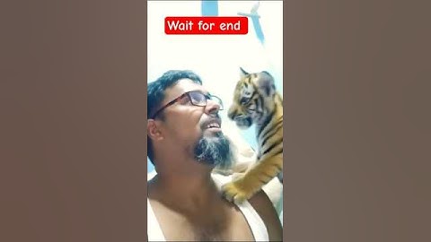 wait for end#tutorialfilter  #sehar #shoarts_viral #youtube #video