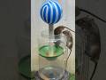 Best home mouse trap/best mouse trap idea from plastic ball #rattrap #mousetrap