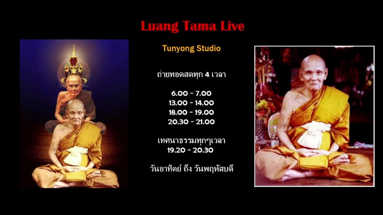 หลวงตาม้าถ่ายทอดสด วัดถ้ําเมืองนะ เชียงใหม่ Live Stream