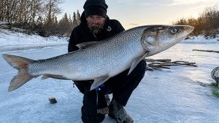 His Competitor Hunted a Moose | He Caught Fish and Won $500,000