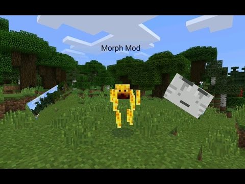 minecraft morph mod for pe minecraft morph mod for pe