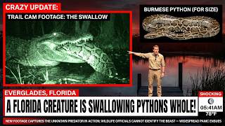 Famous Something Is EATING Pythons WHOLE in Florida… And It Was Finally Caught On Camera Profile