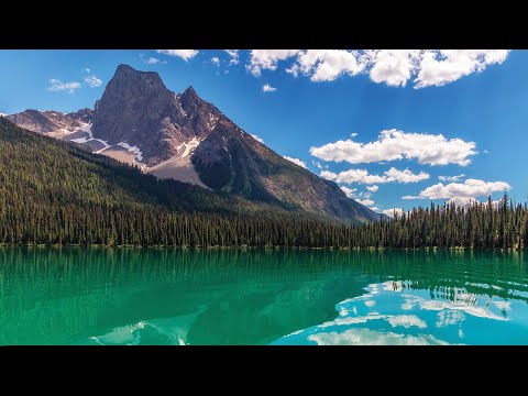 Canada's Unique Rainforest The Wettest Region In North America Full Documentary TRACKS