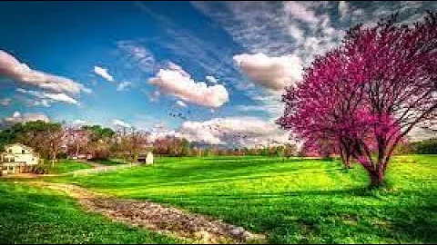 Classical music - Right Here Waiting - Clifford Wi...