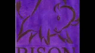 rachel bison