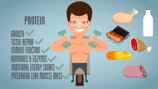 Macro Nutrients Explainer Video