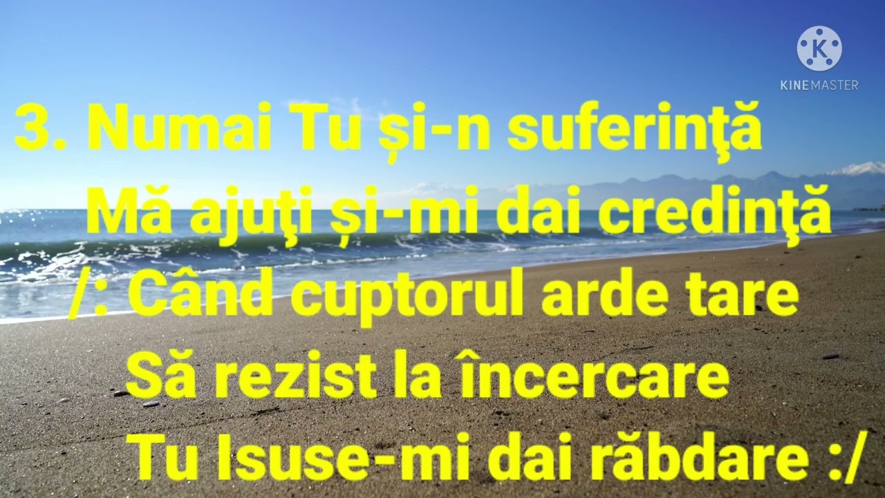 Numai Tu o Doamne Mare~Negativ cu versuri