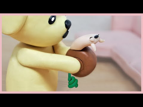 똥을 계속 싸는 배탈난 동핑이 ㅠㅠ