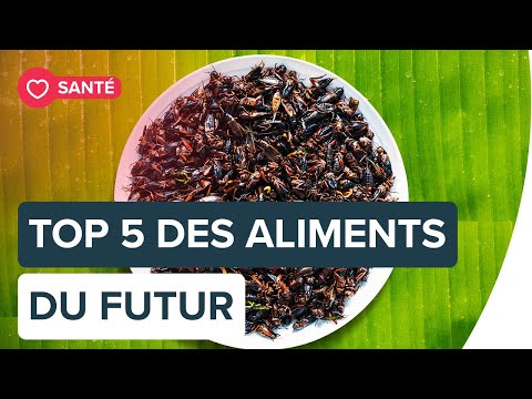 Que mangera-t-on demain ? | Futura
