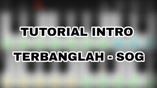 Video thumbnail of "Tutorial Part Intro : Terbanglah - Sekumpulan Orang Gila (SOG)"