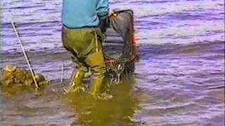 1996 Vissen in Ierland screenshot 5