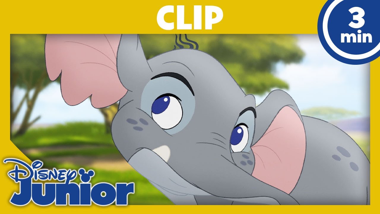 👂 Sperr' die Lauscher auf! | Die Garde der Löwen