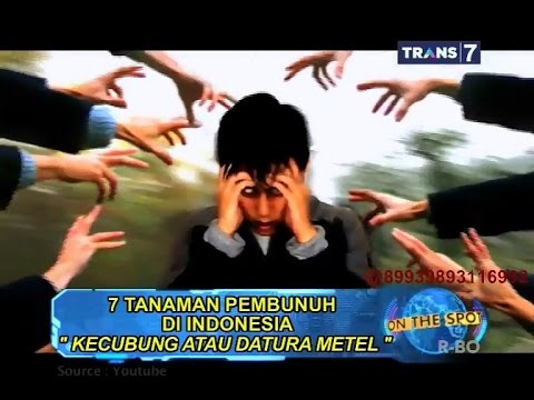 Video: 7 Produk Untuk Membantu Melawan Rambut Tumbuhan Yang Menyakitkan