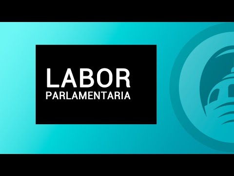 Labor Parlamentaria - 13 de julio