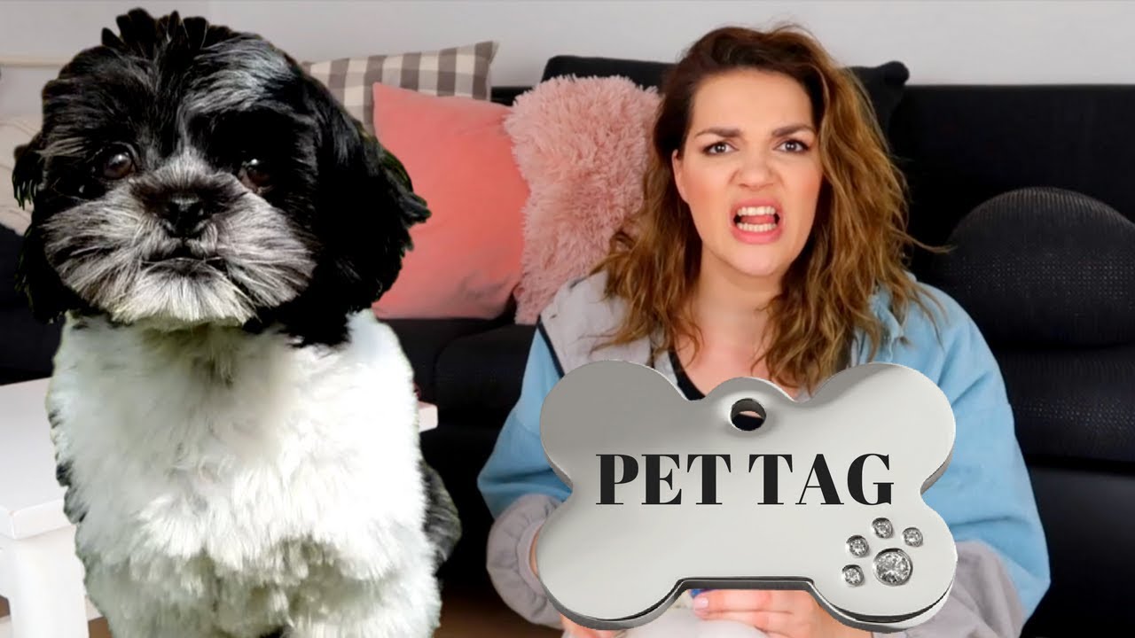 Šutnuo mi je psa Budu! | PET TAG | MashintheBeauty