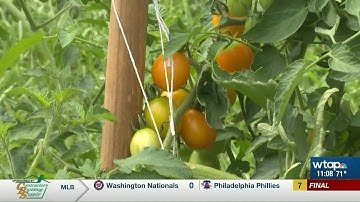 OSU Extension opens applications for Master Gardener program