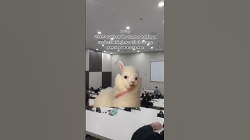 Mode: Listening Activated 🎧👀 #StealthStudent #SecretStudyHack #fyp #Fyp #foryou #british #student