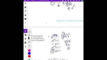 TSIA2 Algebraic Reasoning Practice Questions.