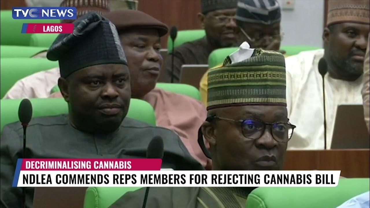 Analysis | NDLEA Commends Reps Members For Rejecting Cannabis Bill