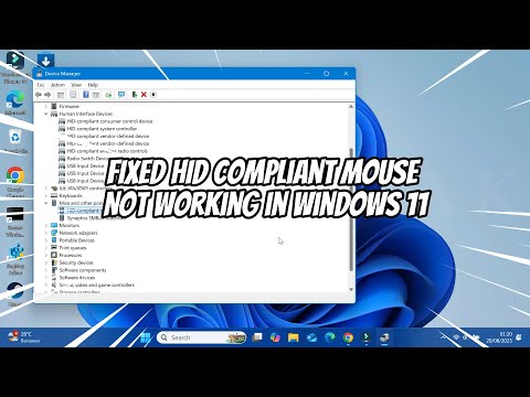 FIXED HID Compliant Mouse Not Working in Windows 11
