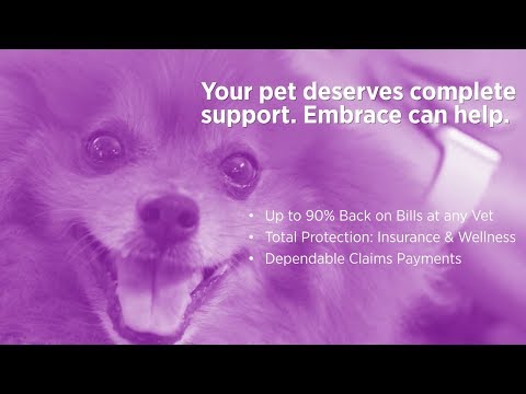 Pet Insurance Explained | Embrace Pet Insurance