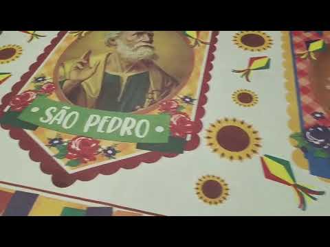 TNT Estampado Festa Junina São João Santo Antônio São Pedro Decoração Arraia Painel Santos Juninos