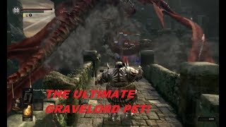 Hellkite Drake Gravelord Trolling - Dark Souls Remastered