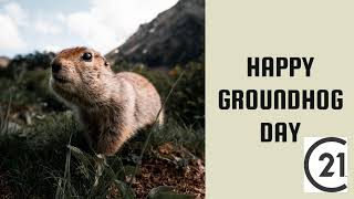HAPPY GROUNDHOG DAY