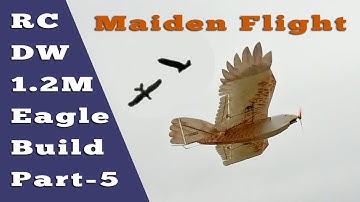 DW Epp 1200mm  Eagle Maiden Flight & Final Tweaks - Raven Joins In (Part 5)