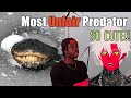 THE MOST MID MAXED PREDATOR ON EARTH