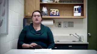 Home Euthanasia: a Comforting Option for You and Your Pet